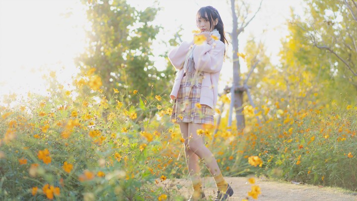 【Seal Porridge】Goodbye Girl(H△G)❀Dancing in the Flowers