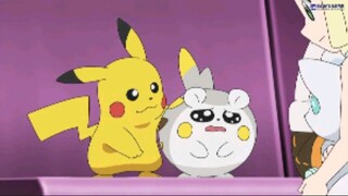 Pokemon Sun & Moon Episode 113