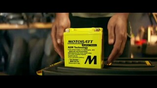 Aki Kuning Kelas Dunia
