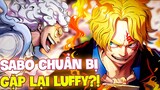 SABO SẼ GIÚP LUFFY HẠ KIZARU?! | SABO CHUẨN BỊ GẶP LẠI LUFFY?!