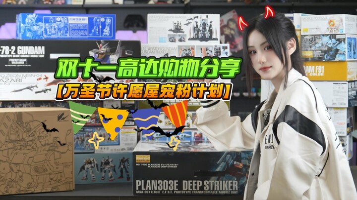 【小雪许愿屋】- 双十一高达购物大开箱，有你想要的吗？
