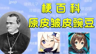 【梗百科】之《原皮豌豆比皱皮多》孟德尔定律