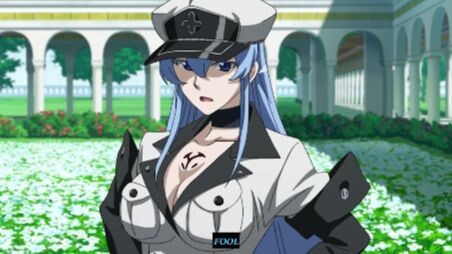 Akame Ga Kill -Kill the Nuisances