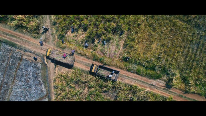 Trailer Pabrik Gula (FINAL)
