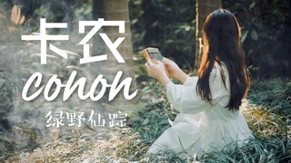 【超治愈！MV】《卡农》是世界上最温柔的语言 拇指琴弹奏