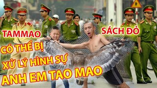 Anh em TAM MAO TV - ẨM THỰC TAM MAO Có thể bị xử lý Hình Sự | 'THỊT' chim sách đỏ gây tranh cãi