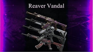 Over 7 minutes of Reaver vandal gameplay - Valorant skins Montage