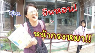 ยืนหอนหน้ากรงหมาป่า ในสวนสัตว์ญี่ปุ่น | แม่ปูเป้ เฌอแตม Tam Story