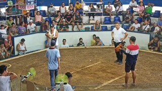 Cabuyao coliseum#draw pangalwang laban.