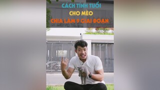 Cách tính tuổi cho mèo chia làm 9 giai đoạn dcgr tuitienpet LearnOnTikTok pet cat