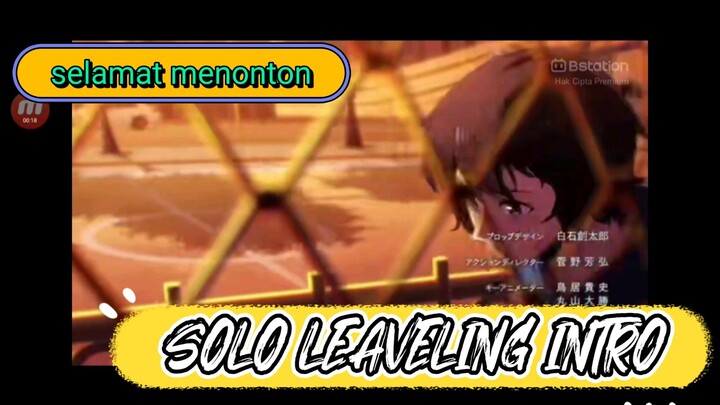 SOLO LEAVELING INTRO