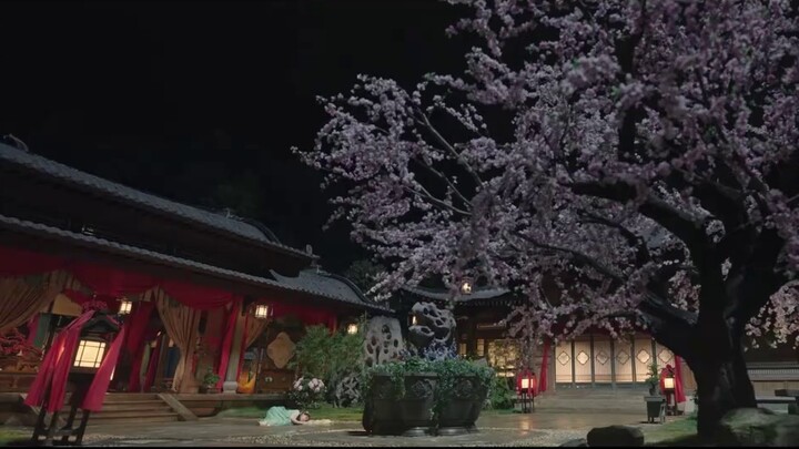 ใครเป็นคนถ่ายทั้งโชว์ตั้งแต่ 10 นาทีแรกจนถึงตอนจบคะ เป็นอะไรที่ดูนามธรรมมาก ชอบมากกก เหมือนดวงดาวยาม