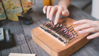 【Kalimba】Merry-go-round of life-Theme Music of Howl's Moving Castle