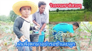 สามพ่อลูกสามัคคีช่วยกัน