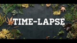 Time-Lapse Videos Sky And Landscape | Emirates Airlines and Philippine Airlines