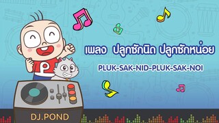 คาราโอเกะเพลง ปลูกซักนิด | Karaoke Song | PangPondClub