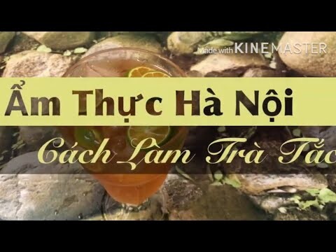 Cách Làm TRÀ TẮC Đơn Giản Tại Nhà