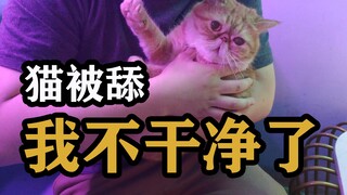 如果舔一下猫，猫会有什么反应？