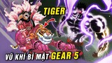 Luffy sẵn sàng trạng thái Gear 5 / Tiger Man để tái đấu Kaido , trận chiến JOYBOY [One Piece 1022+]