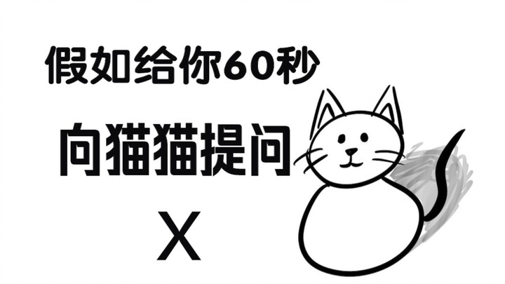 假如给你60秒向猫猫提问（第十期）