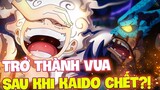 TRỞ THÀNH VUA SAU KHI KAIDO CHẾT?! | NHỮNG KẺ HƯỞNG LỢI NHIỀU NHẤT SAU CÁI CHẾT CỦA KAIDO