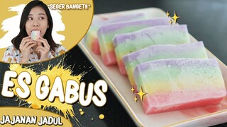 Cocok Buat Buka Puasa! Bikin Es Gabus Pelangi Dirumah🌈