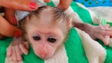 Relaxing time!! Tiny Luca is so refreshing & comfortable when Mom gentle head massages for him