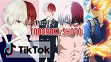 Part 2 | TikTok Keren 2020 - Todoroki Shoto Ganteng | BNHA (9 min)