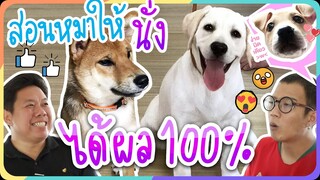 วิธีฝึกหมาและสัตว์เลี้ยงให้นั่งรับรองได้ผล 100 % EP.3 - KHONPETS สาระ !