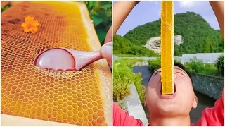 Những Video Triệu View Trên Tik Tok China P(58) 😍😍 Best Oddly Satisfying Video