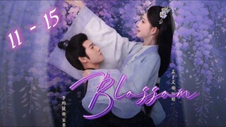 Blossom (2024) Episode 11 - 15