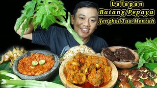 MUKBANG BATANG PEPAYA DAN DAUN PEPAYA MENTAH JENGKOL TUA MENTAH SAMBAL TERASI IKAN ASIN  IKAN BAKAR