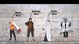 Chiều cao các nhân vật trong Naruto | Phần 11