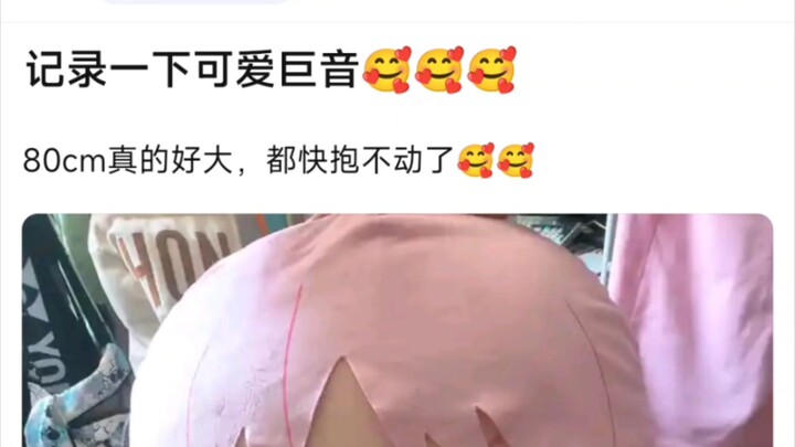 【MyGo】记录一下可爱巨音，80cm真的好大，都快抱不动了