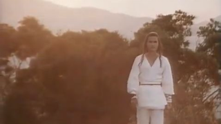 กระบี่ไร้เทียมทาน (Reincarnated) 1979#60-End