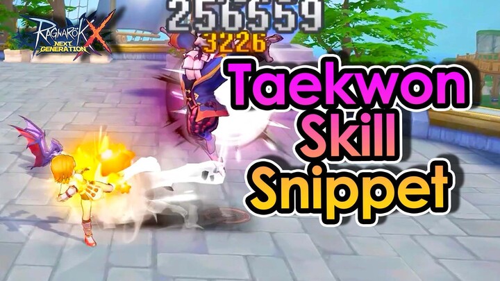 [ROX] Breakdown All of The Skills showed In The Video Teaser For Taekwon Job Class! | King Spade