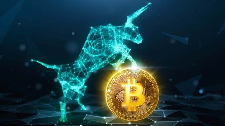 Bitcoin bull run will occur until the end of 2024