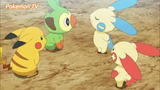 Pokemon (Short Ep 61) - Dịch vụ giúp việc Plusle và Minun (Tiếp) #pokemon