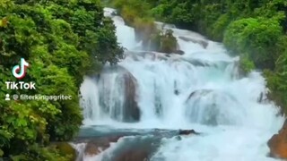 🇵🇭只要眼界和呼吸用心❤️打开到处都会感觉是香的，