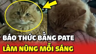 Đồng hồ BÁO THỨC chạy bằng PATE vừa LẮM MỒM vừa NŨNG NỊU 😍 | Yêu Lu