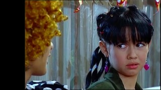 24 Monyet Cantik
