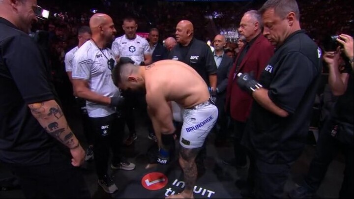 UFC 300 PPV Pereira vs Hill HDTV