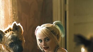 How sad is Harley Quinn who just lost the Joker and then lost her pet (hyena) Bruce?