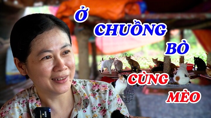 Chị gái đẹp như diễn viên Diễm Hương sống ẩn dật ở chuồng bò với đàn mèo hoang - ĐỘC LẠ BÌNH DƯƠNG