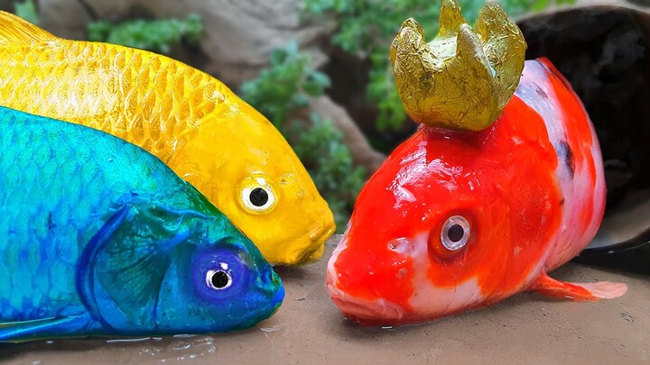 Stop Motion ASMR Anak Ayam Lucu Gaun | Ikan Warna Warni Eksperimen Primitif Mencampur Ikan Hias