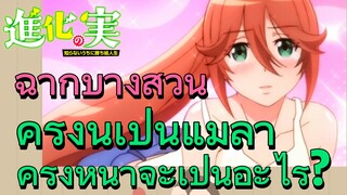 ฉากบางส่วน | ครั้งนี้เป็นแม่ลา ครั้งหน้าจะเป็นอะไร?