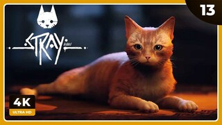 SOY UN GATO Y POCO MÁS (Primer Contacto) | STRAY Gameplay Español