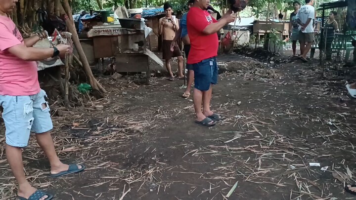 Ruthless backyard
