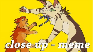 Close Up (animation meme / warrior cats)