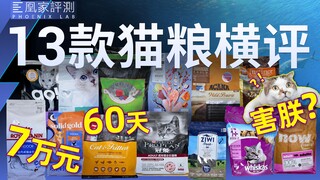 13款畅销猫粮谁更安全营养？我们花了6万才搞清楚 | 凰家实验室